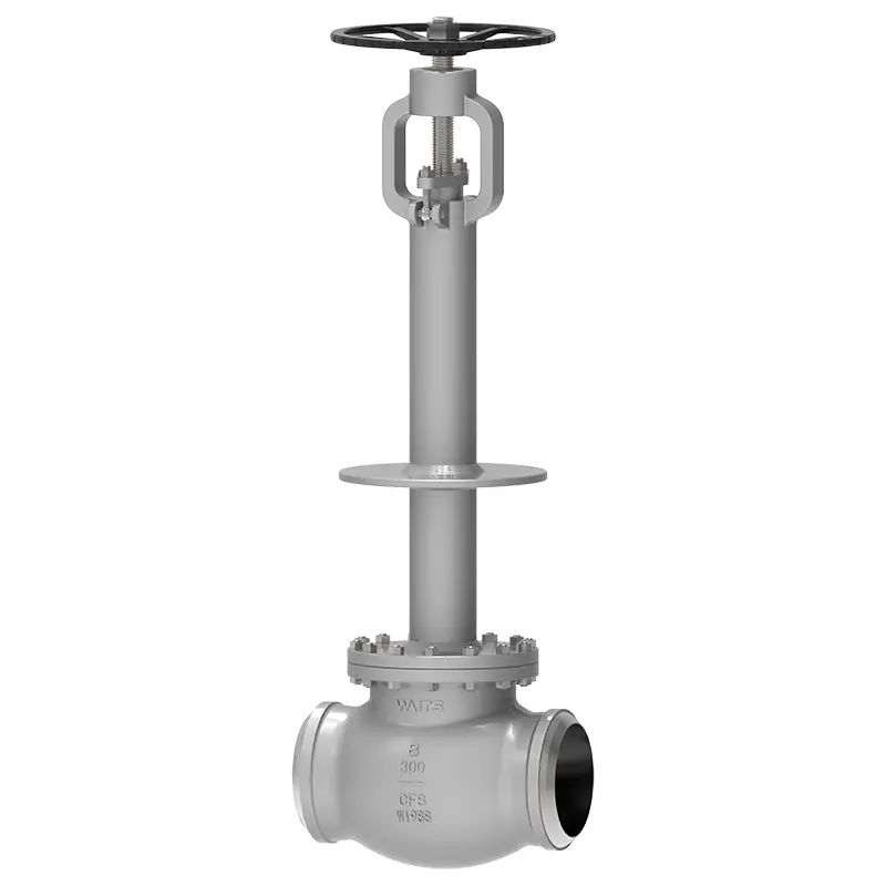 Cryogenic Globe Valve