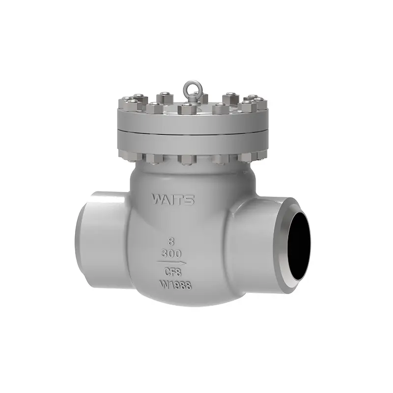 Cryogenic Swing Check Valve