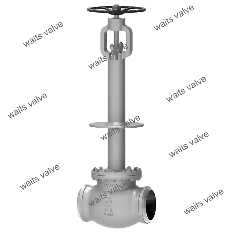 Cryogenic Globe Valve