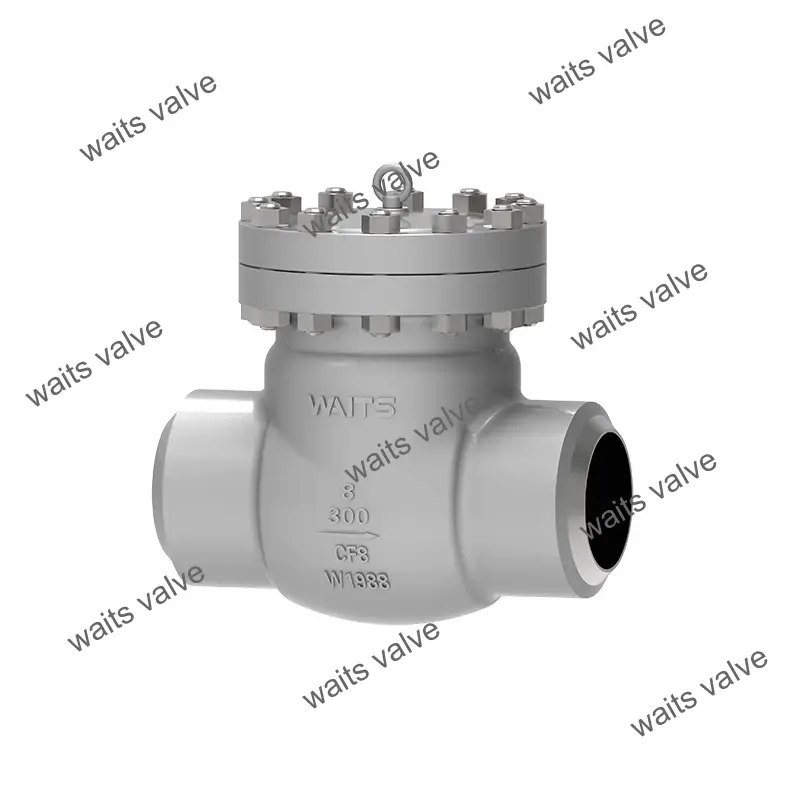 Cryogenic Swing Check Valve