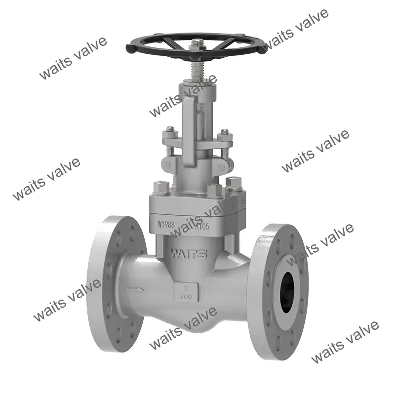 Forged Steel Globe Valve