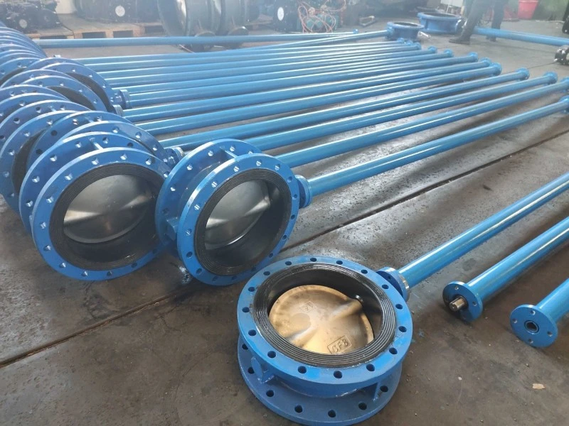 Extended Stem Gear Flange Butterfly Valve