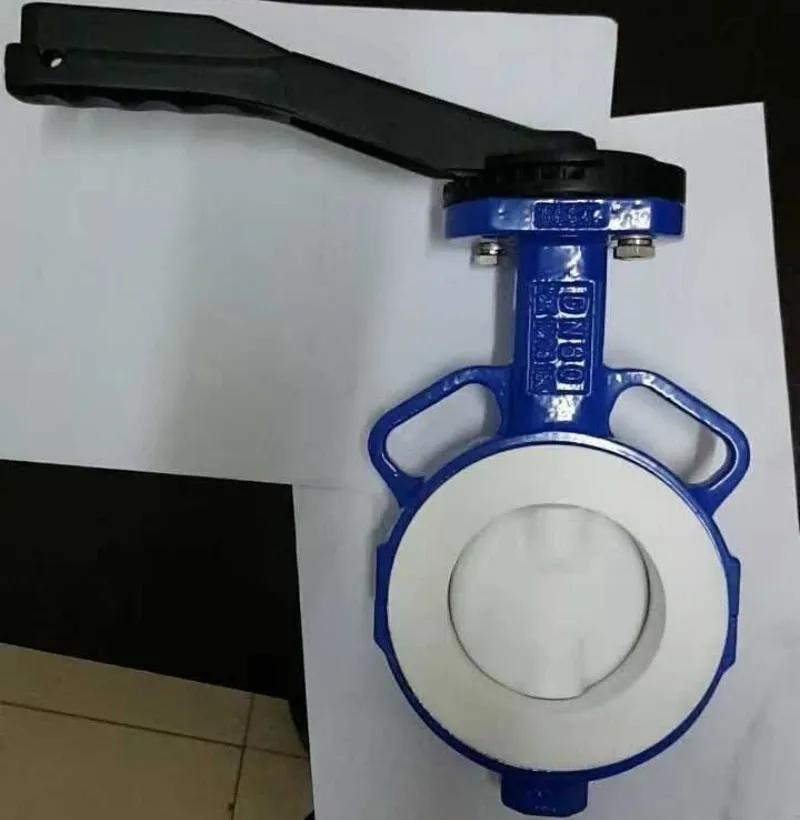 Gear Wafer Ptfe Lined Butterfly Valve