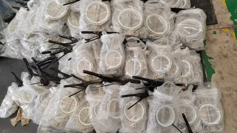 Stainless Steel Lever Wafer Butterfly Valve