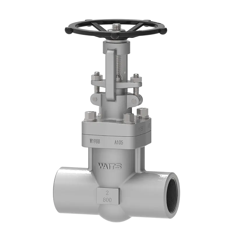 NPT Forged Steel Gate Valve